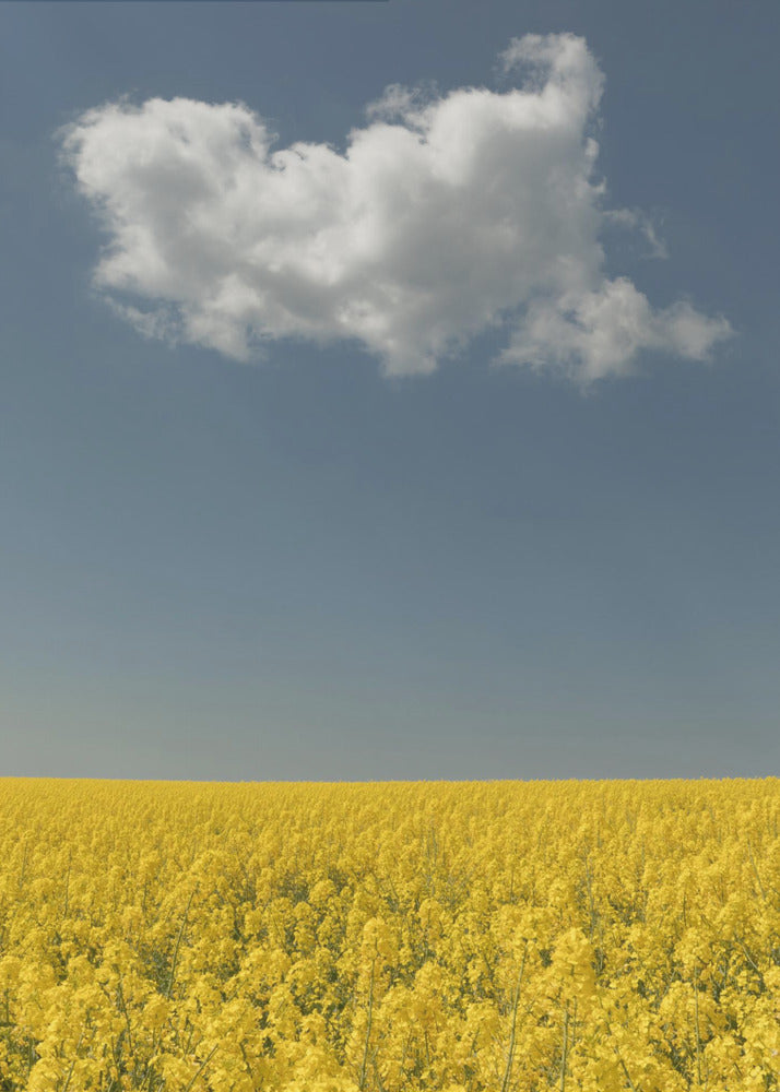 Visione | Stampe su Tela