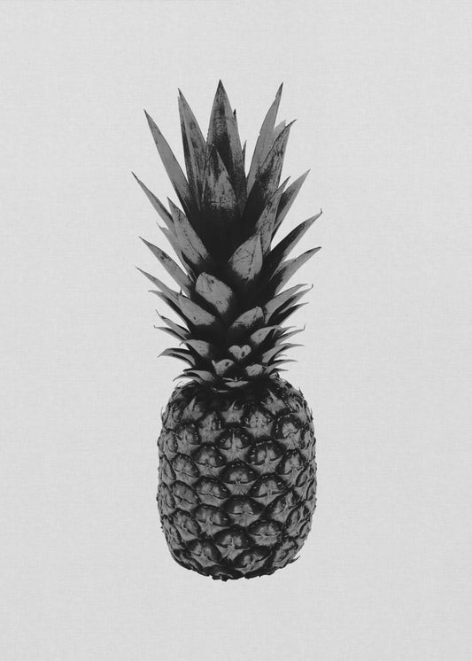 Ananas mustavalkoinen | Julisteet - Taidevedokset