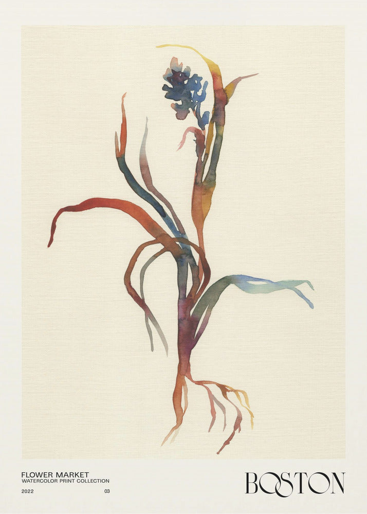Watercolor print collection. Flower market - Boston | Poster