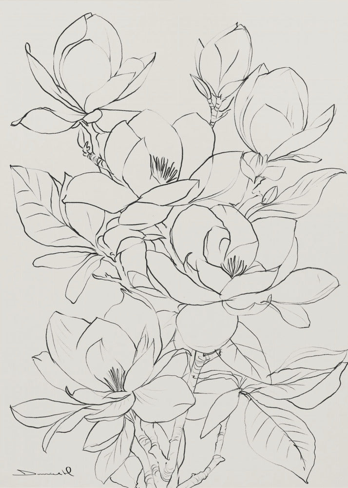 Magnolienbaum | Poster