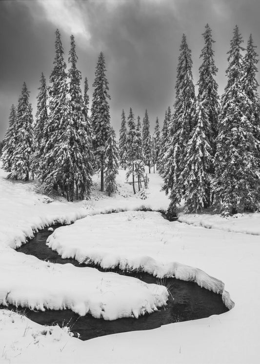 Erster Schnee | Leinwand-Bilder
