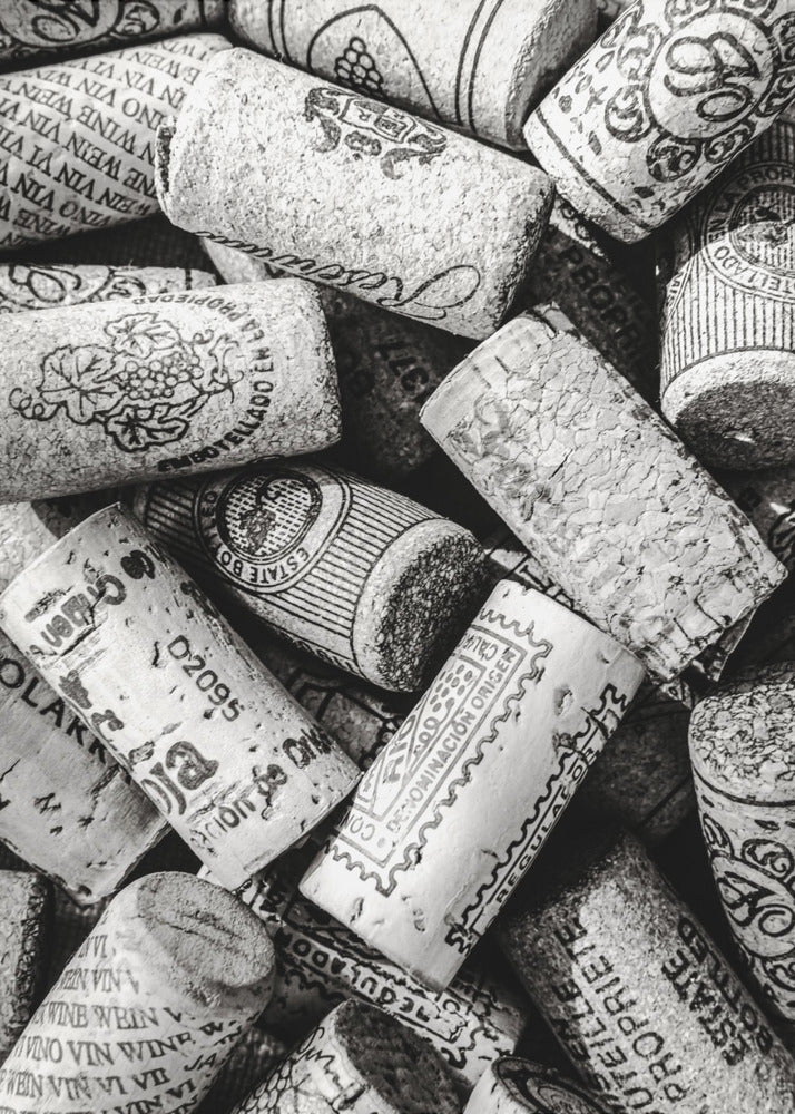 Wino 001 Bw | Wydruki na łótnie