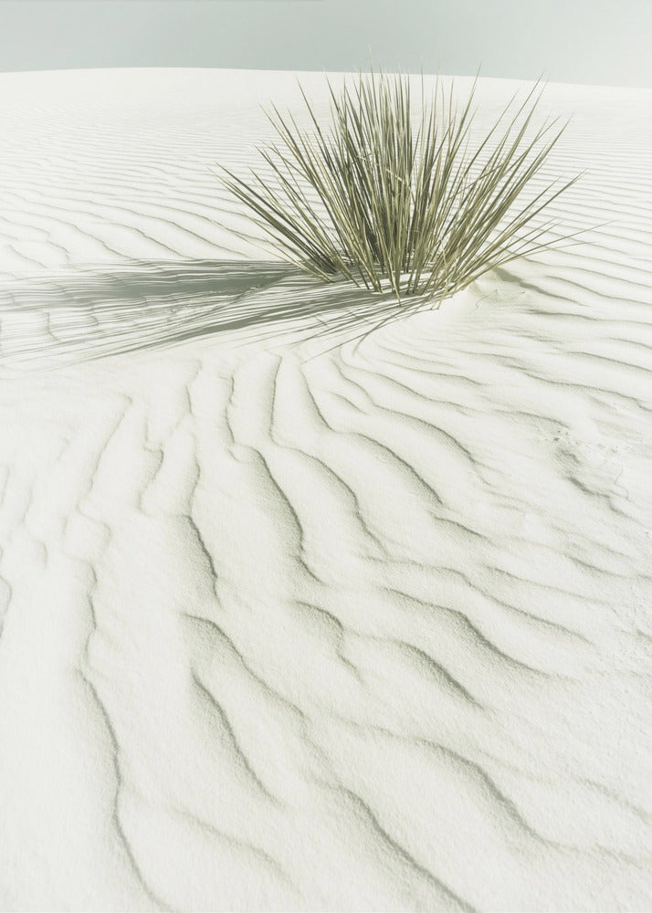 WHITE SANDS Idyllische Vintage-Landschaft | Leinwand-Bilder
