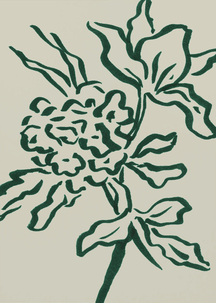 Blomma | Poster