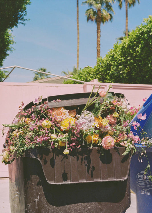 Krawężnik Palm Springs | Wydruki na łótnie