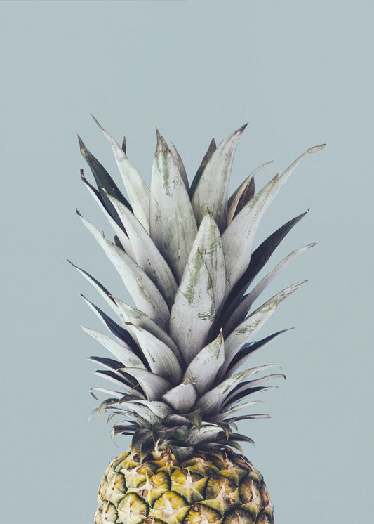 Pineapple 1 | Poster