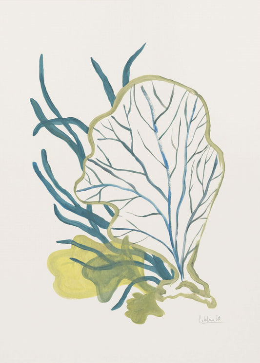 Algae No1 | Poster