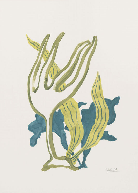 Algae No2 | Poster