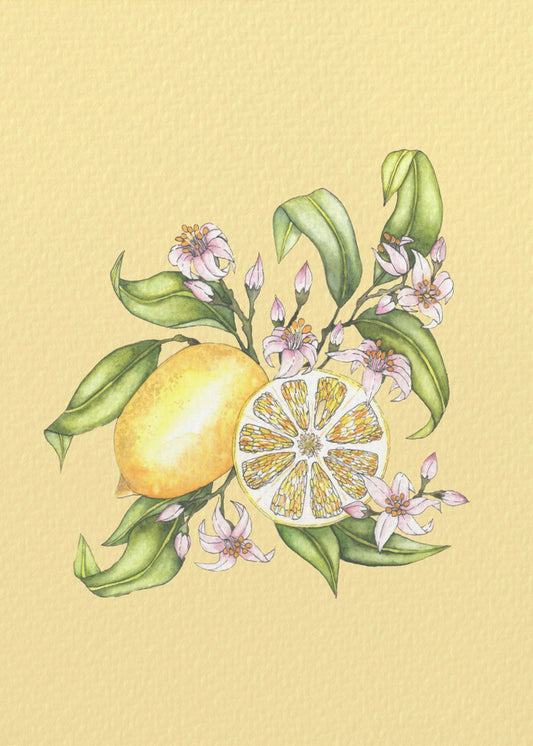 Citronillustration | Canvastavla
