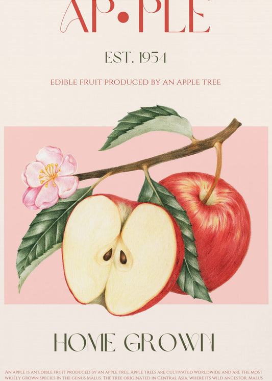 Harvested Apples | Poster