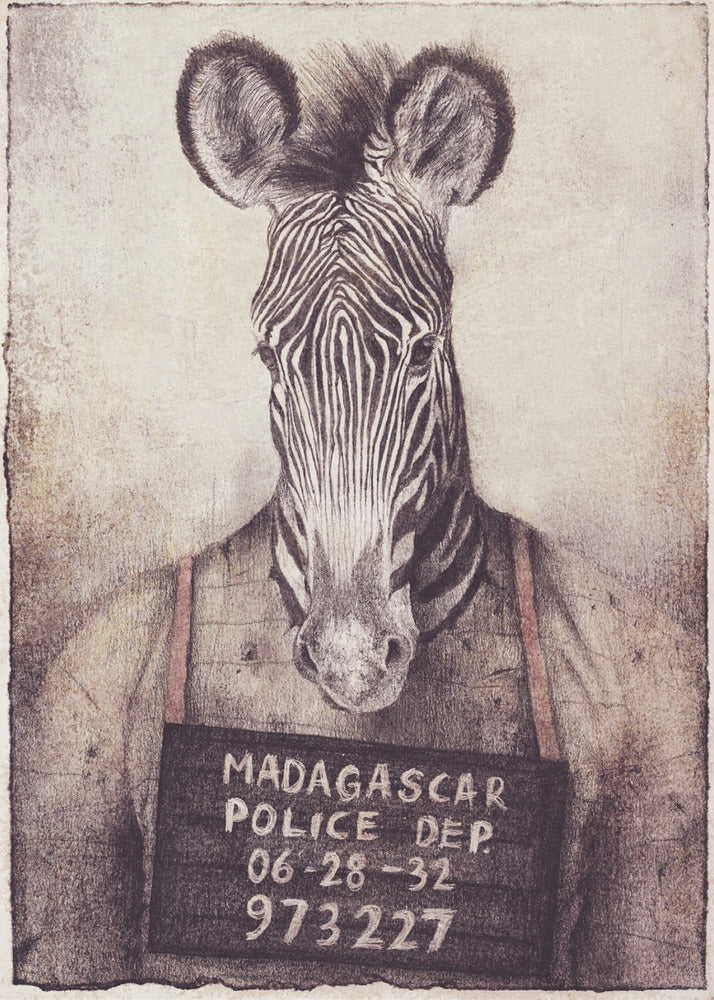 Zebra Mugshot Mystery | Canvas
