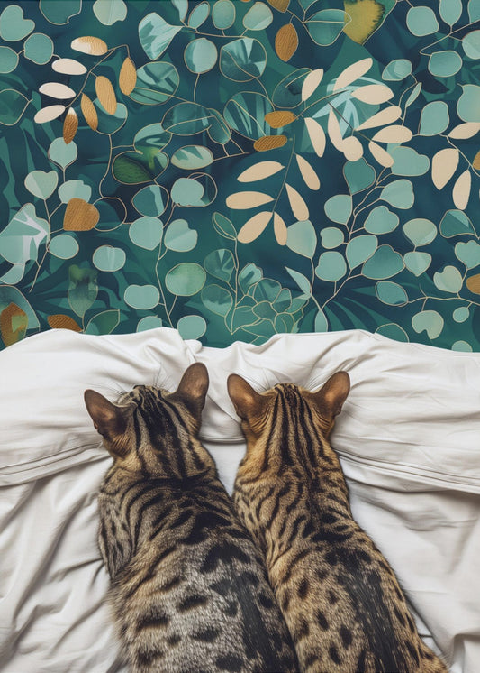 Två katter | Poster
