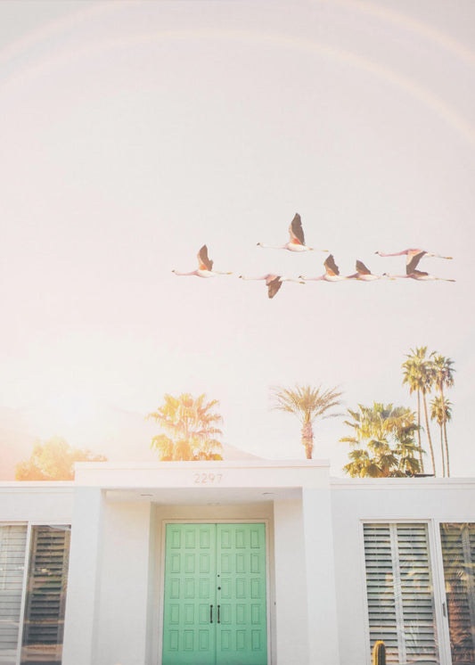 Flamingos in Palm Springs | Leinwand-Bilder
