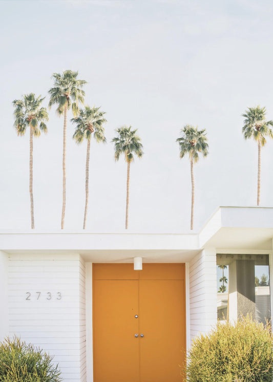 Palm Springs 1 | Leinwand-Bilder
