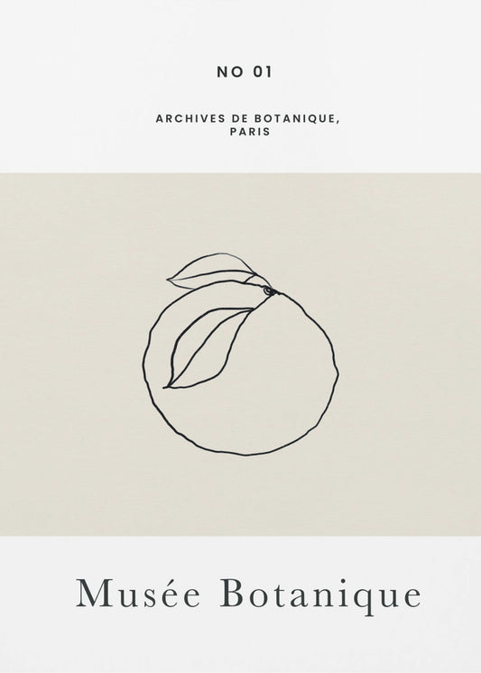 Abstractbotanicsno13 | Poster