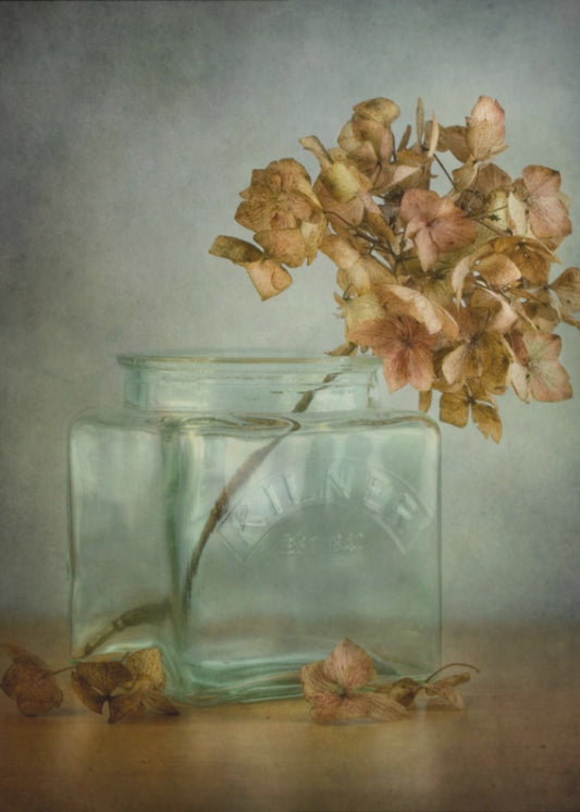Hydrangea | Canvas
