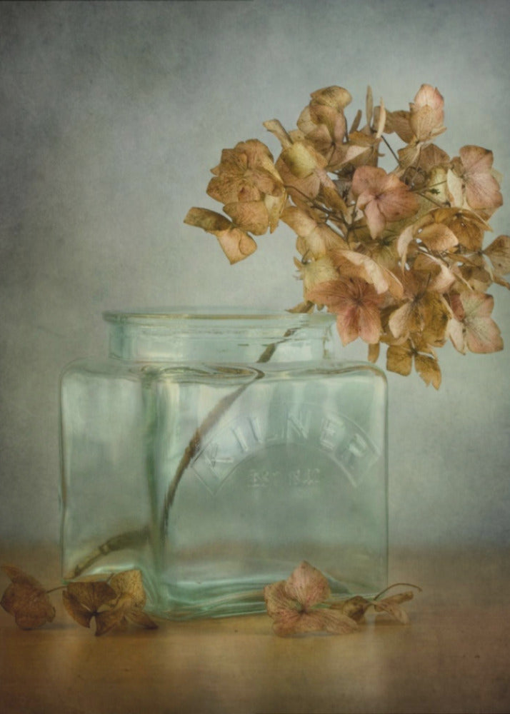 Hortensia | Lærredsbilleder