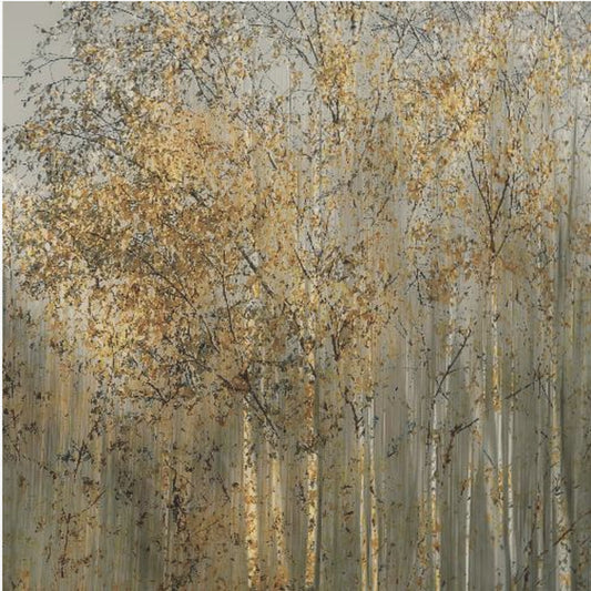 Birch impression | Canvas