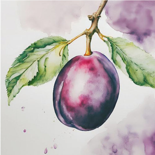 Prune, aquarelle, encre | Posters - Affiche Artistique