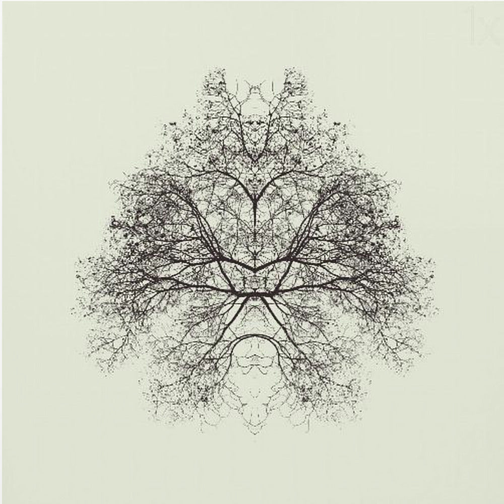Rorschach-testen | Lærredsbilleder